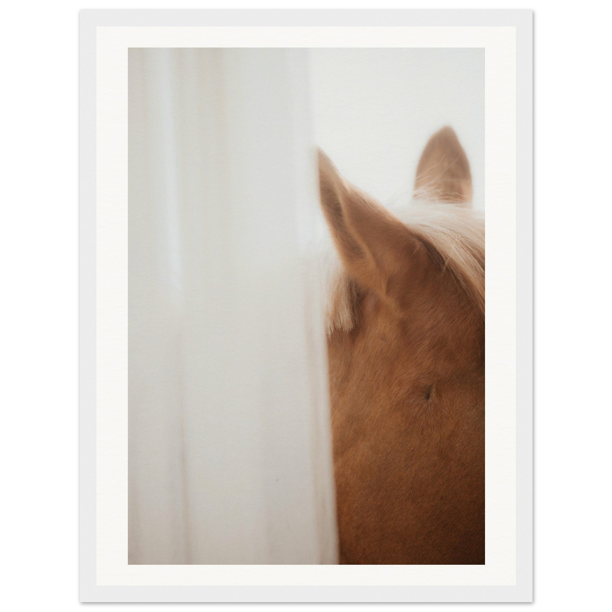 a4c51b74-4c40-4a20-87d8-afa6fbc4774e