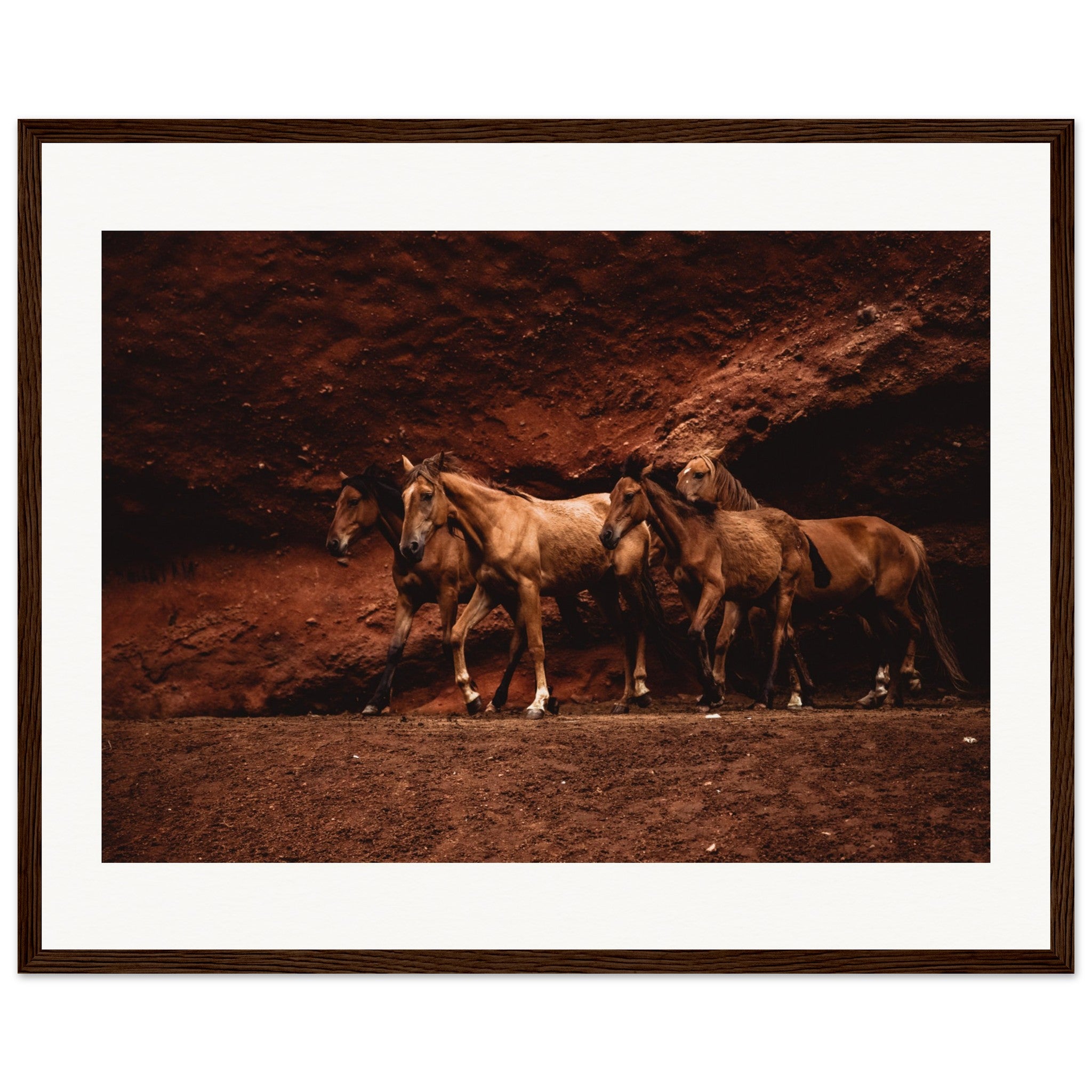 a4d96073-bec5-4b5e-ba00-0256ac8cb7bd