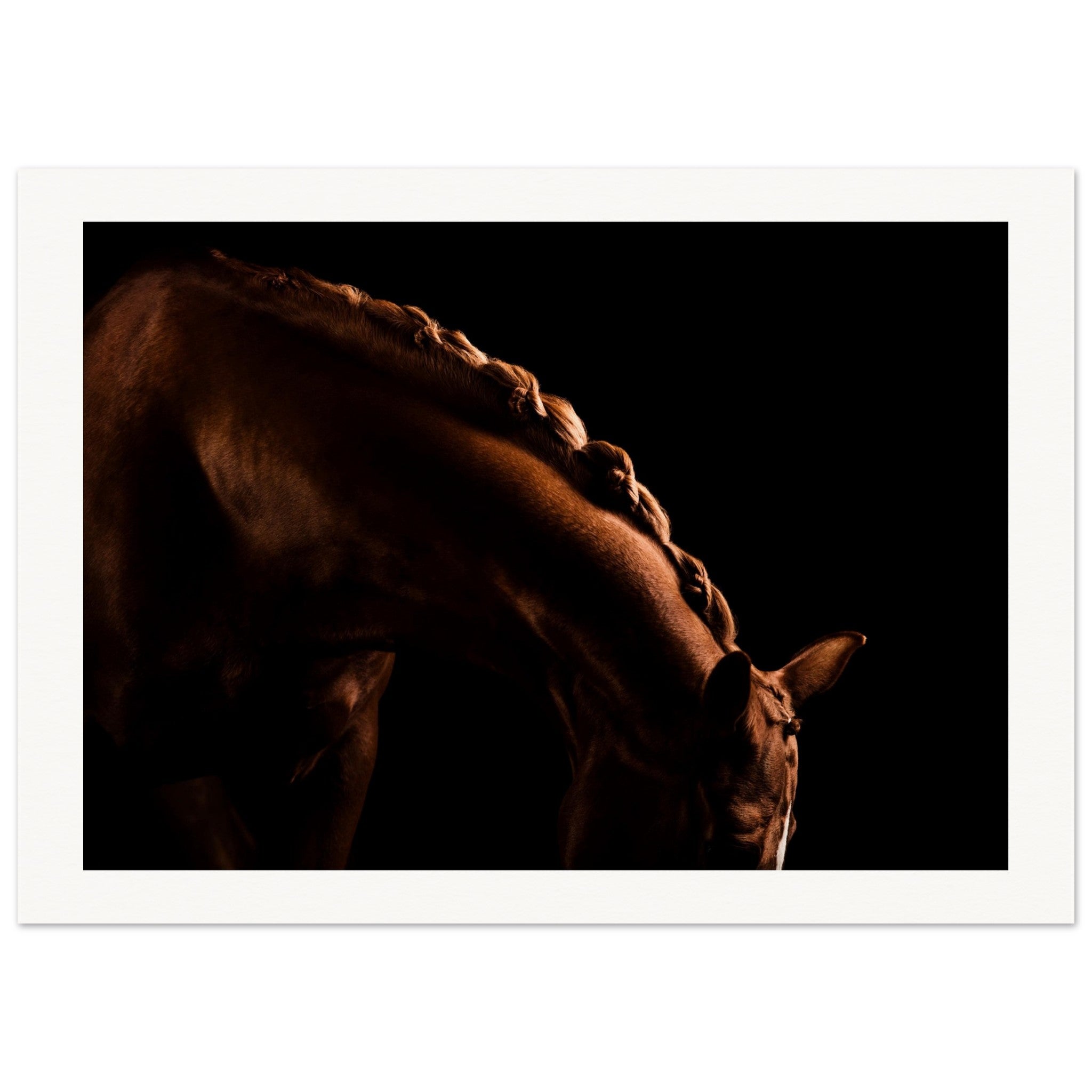 a4dc4697-aa13-4e0c-8bca-2997e22fe4a4