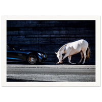 a4e369b1-6be1-4998-b26e-9a1ba9b8dcca