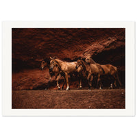 a593c19a-f622-4e4e-8f25-dcee141dae0c