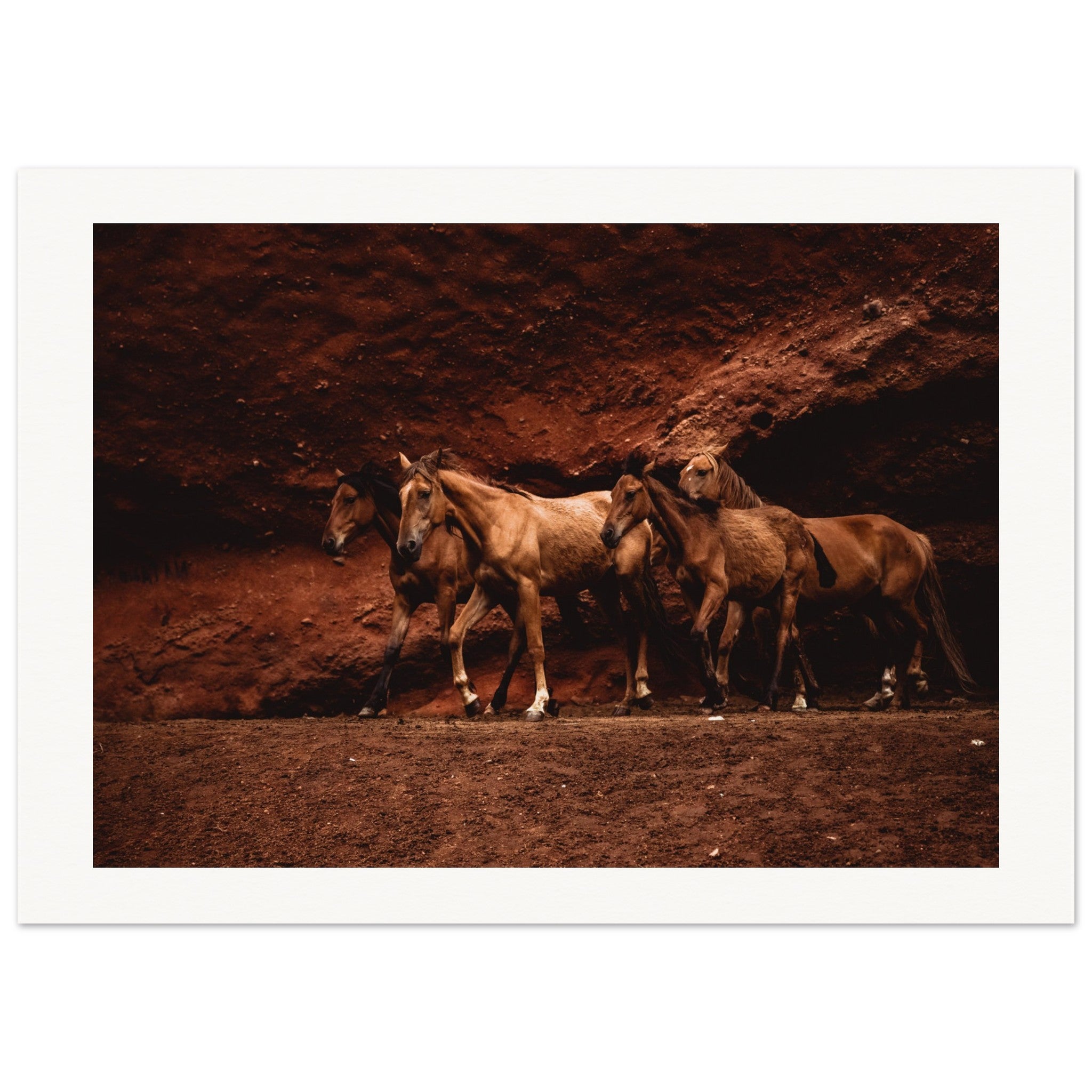 a593c19a-f622-4e4e-8f25-dcee141dae0c