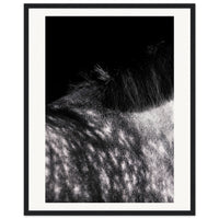 a5c84609-dddd-44ab-b87c-425b23cd117a