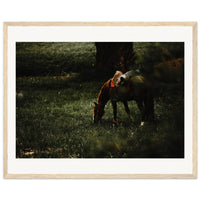 a62b0589-1e40-4497-a744-69200a8091f7