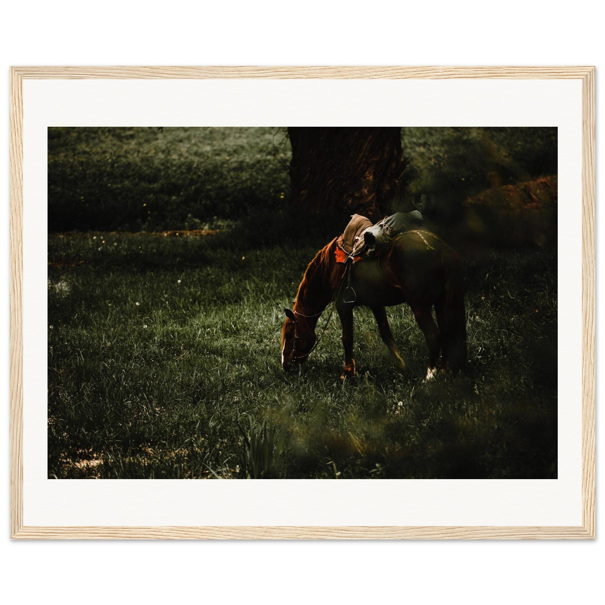 a62b0589-1e40-4497-a744-69200a8091f7