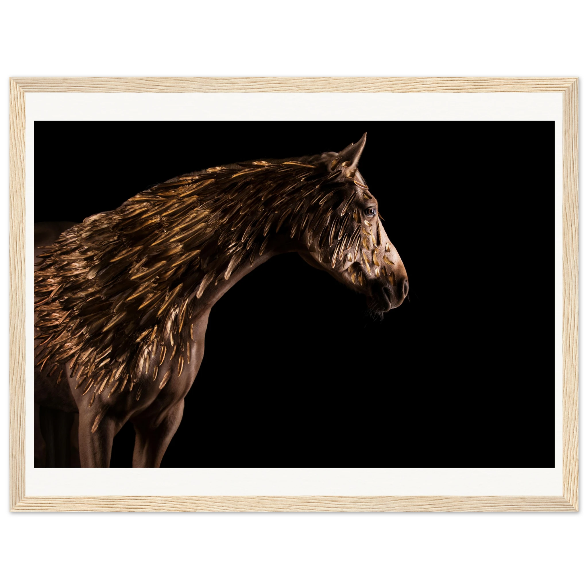 a64ca6fe-e2fd-4606-80d9-0a05c802301e