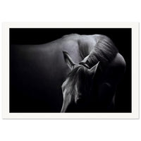 a6507f5a-3166-42aa-9cda-bbcb9d604f0d