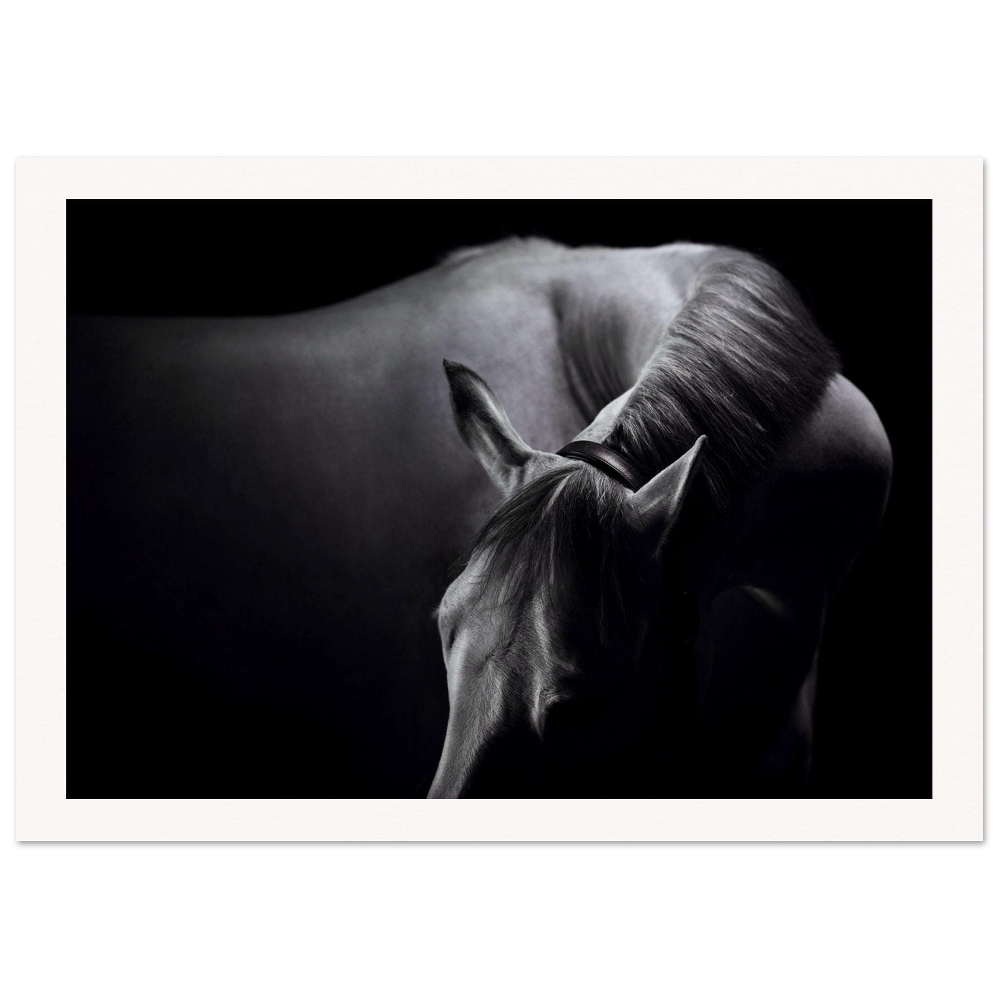 a6507f5a-3166-42aa-9cda-bbcb9d604f0d