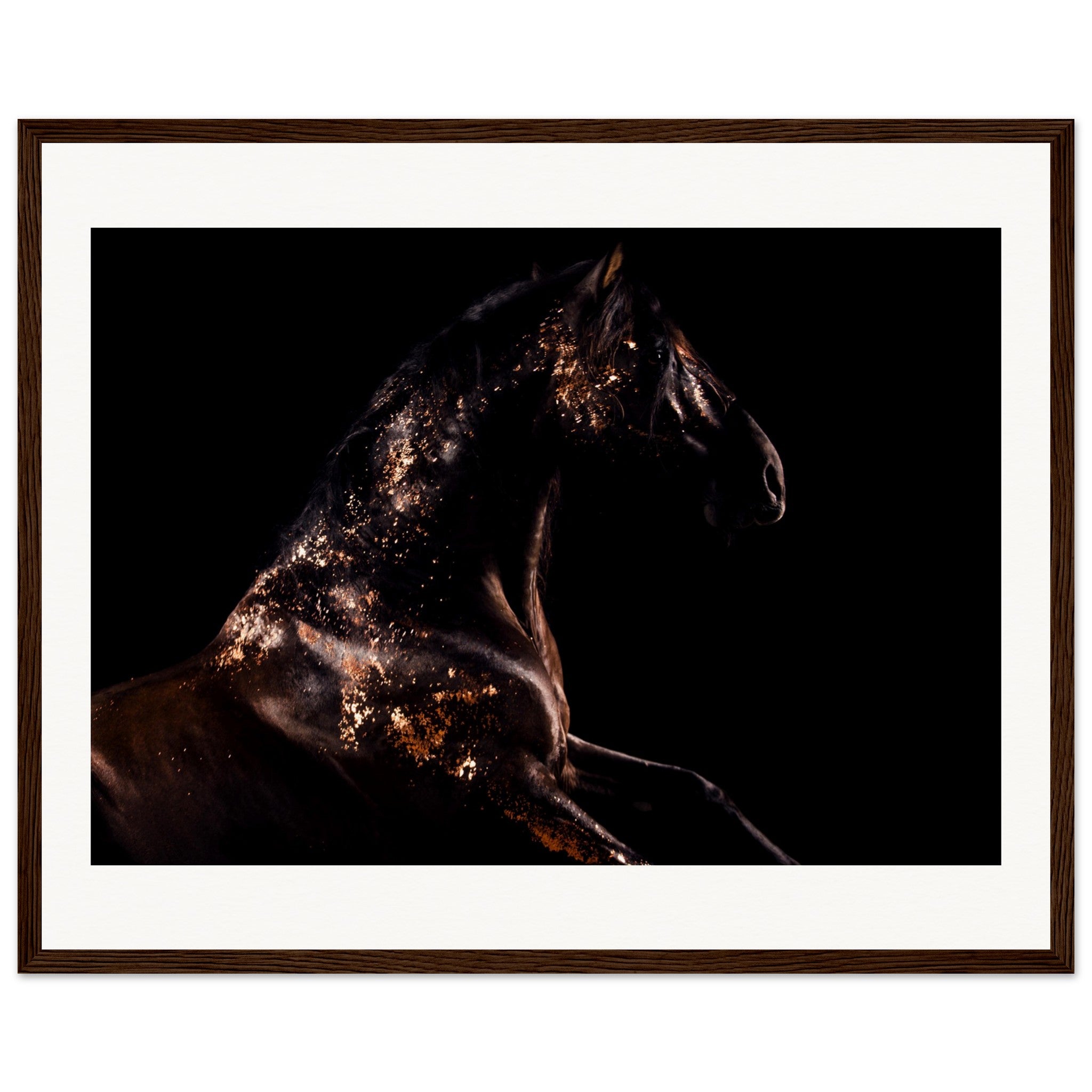 a6b472ce-781b-4754-bd72-55965839fefe