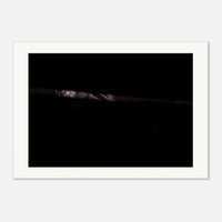 a6fd7a12-cfb2-47d0-a5b2-c3d853664303