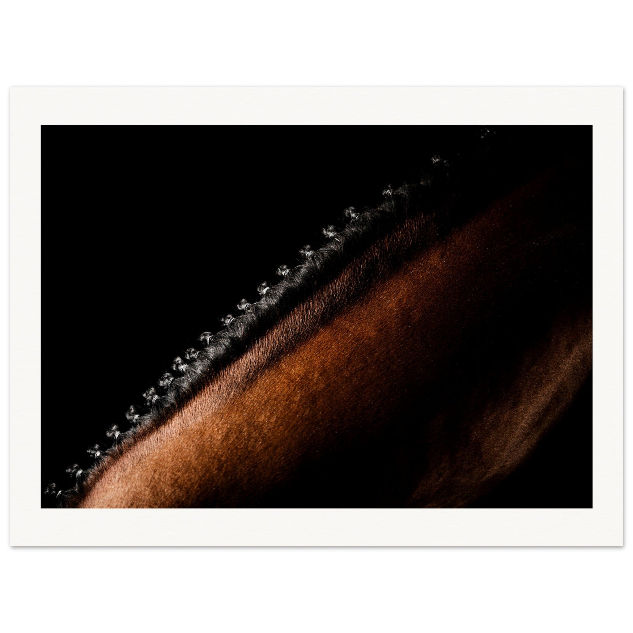 a76b5313-9c28-4272-88db-68619ef093e0