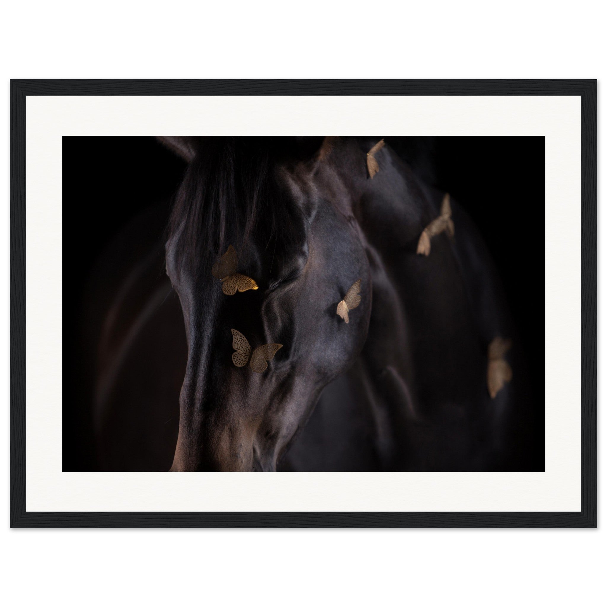 a79300d8-a597-4fc8-aa0c-eae70e9dd044