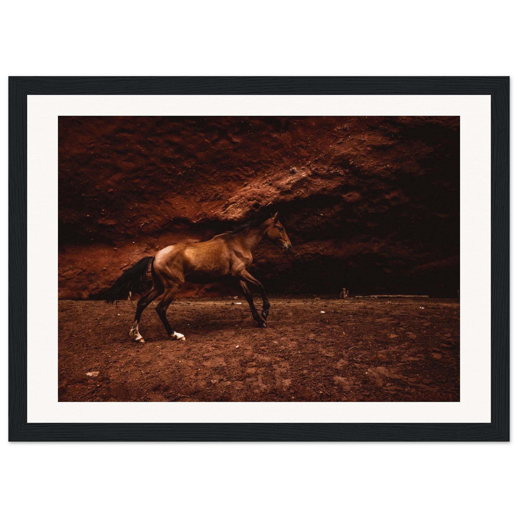 a794138c-8c29-49e5-9140-b216485e6b2e