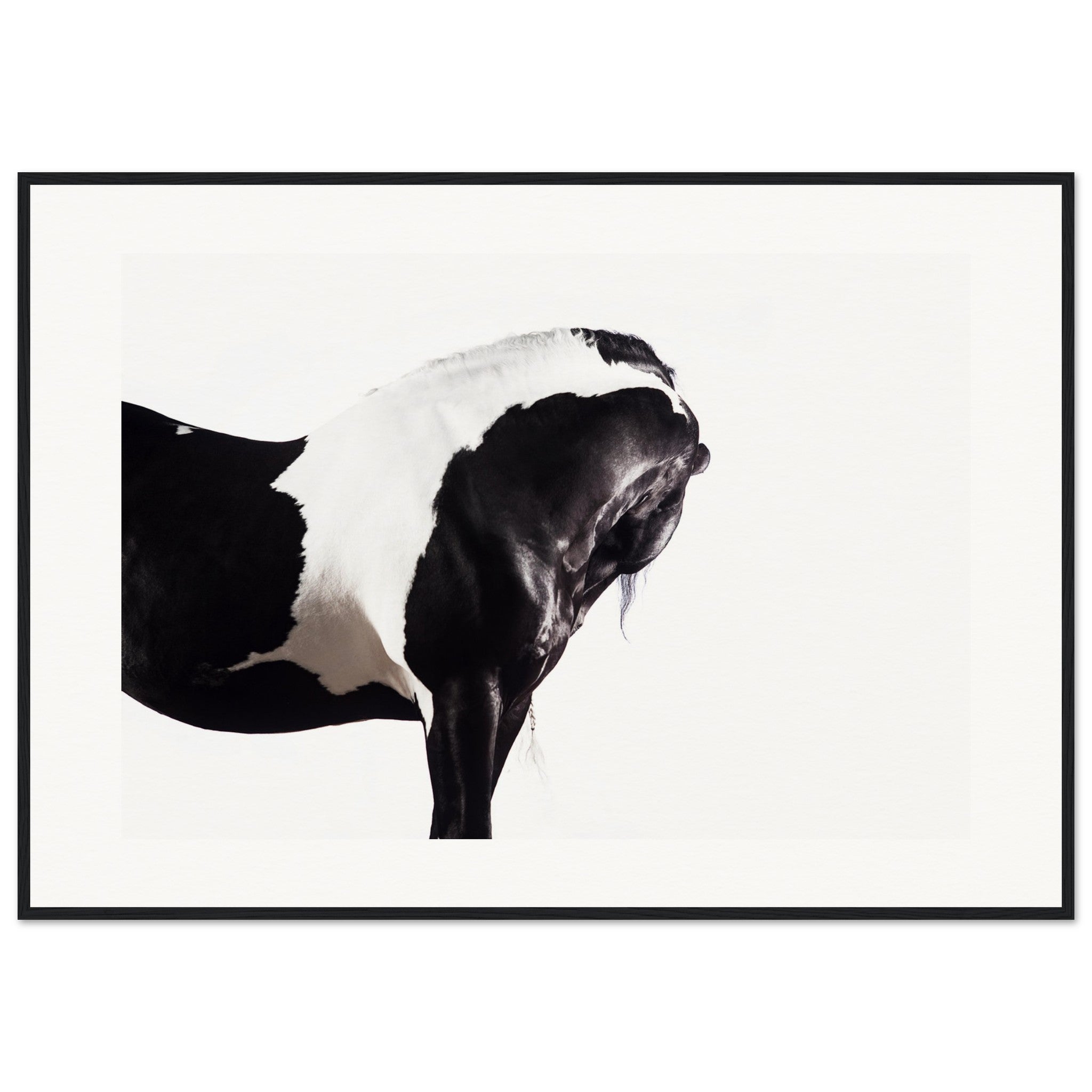 a7ace601-59f0-46ce-8750-6ee5134ba212