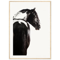 a7bb3bd6-b434-4f66-b7d3-e269e4dec2d6