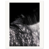 a7cd15a2-94de-41fb-bdbf-548334af6c1d