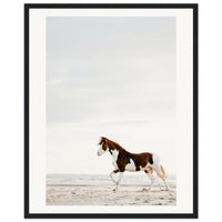 a7ce2602-55e5-48f5-a429-6e1ad6202aab