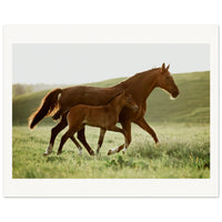 a7d3bfde-a2c2-43a4-84fb-2d01e3dcba10