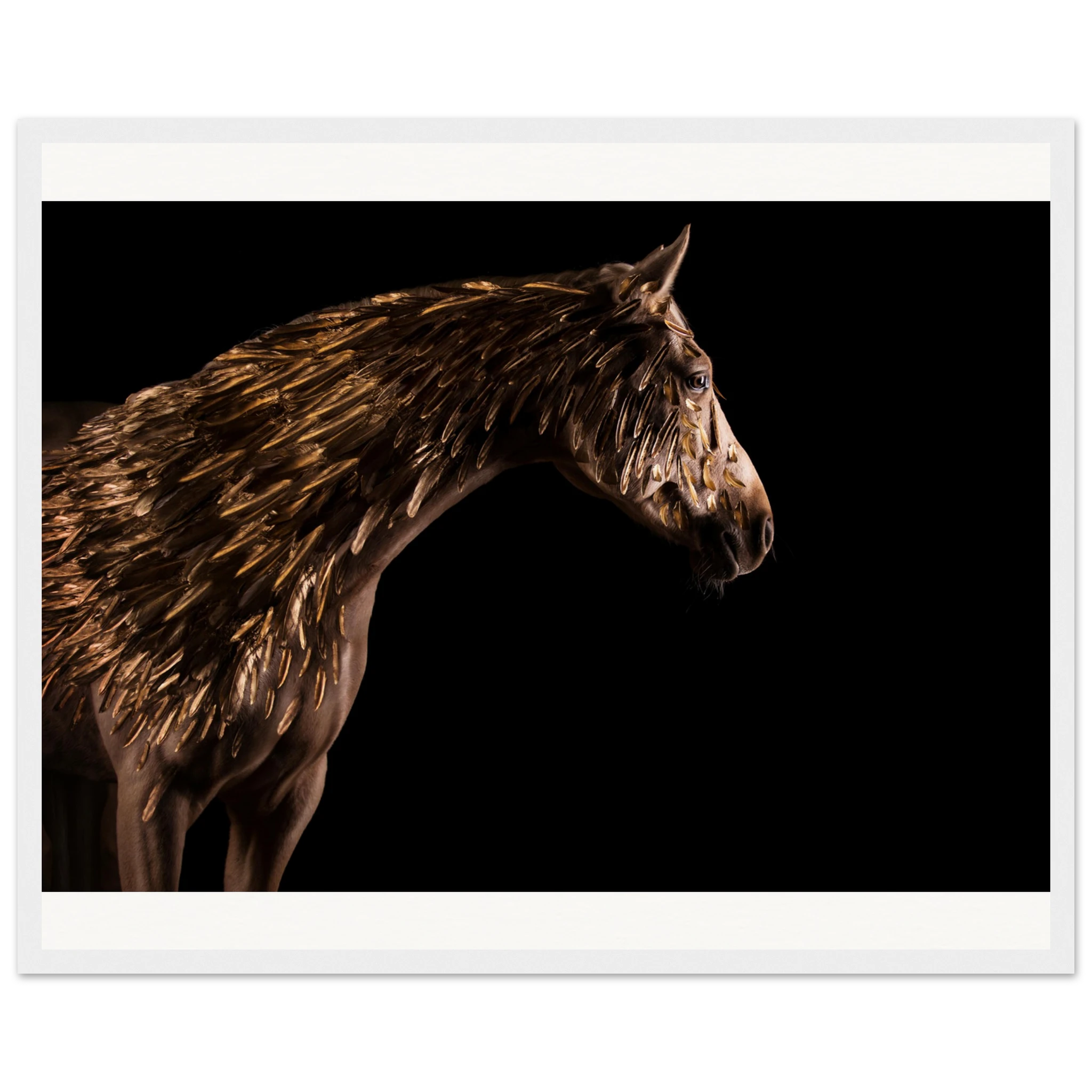 a7fcb27c-a216-4cdd-abd5-0d64f5dc09df