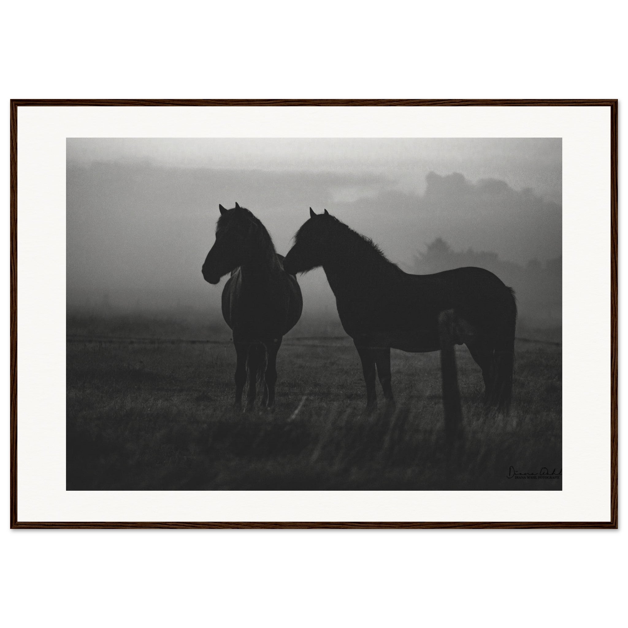 a804d537-dcf0-4337-9bdc-daad64d6a019