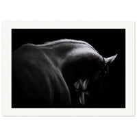 a808e76a-1ad9-4355-9196-eb4c060d630e