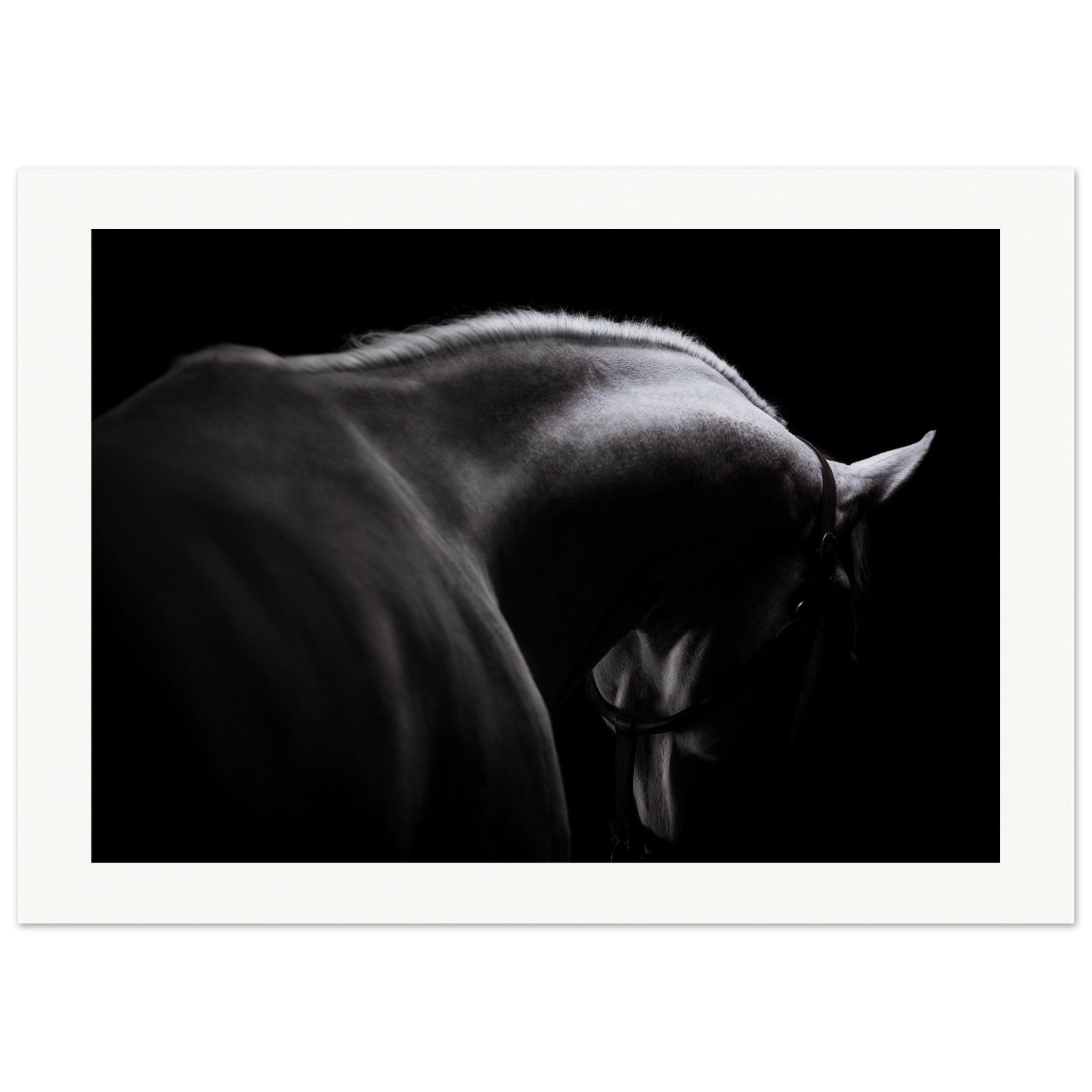 a808e76a-1ad9-4355-9196-eb4c060d630e