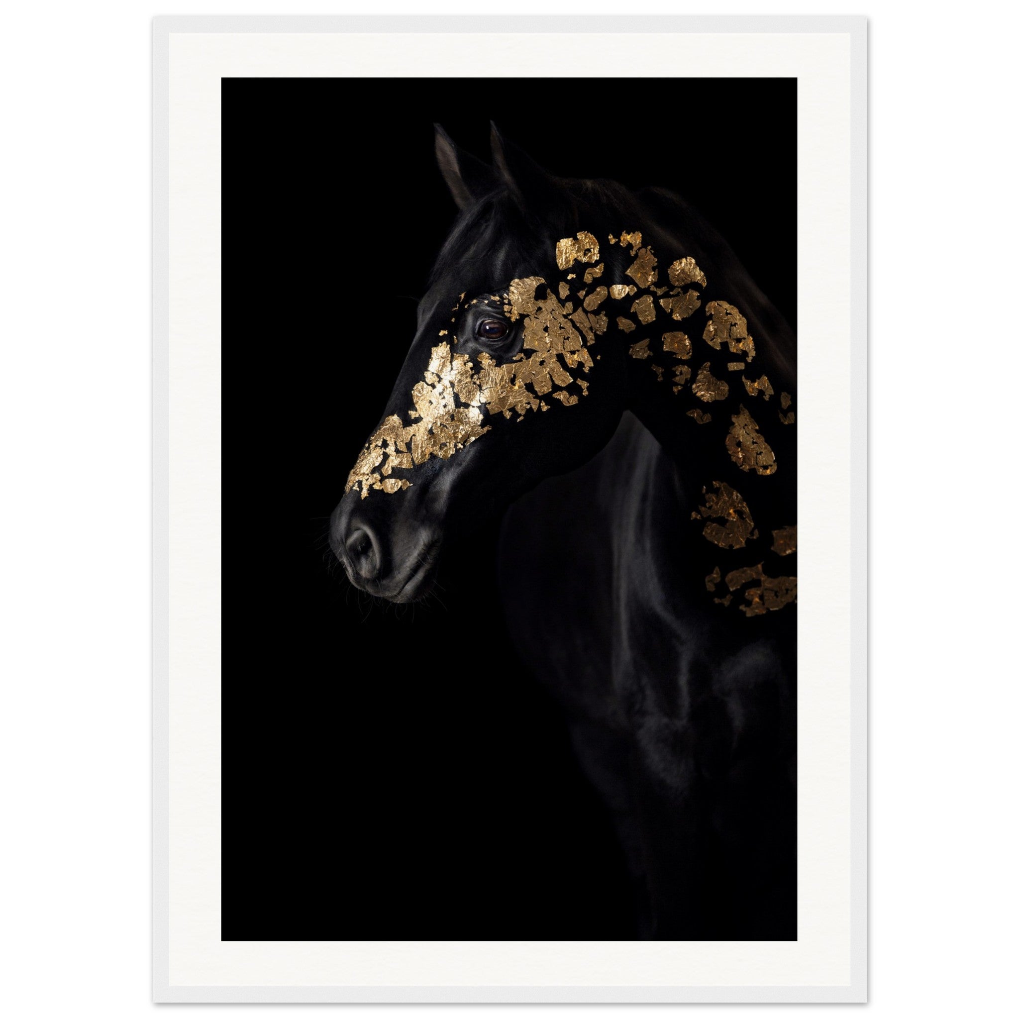 a814b3f3-8fb1-40a2-8296-d844d8e02c14