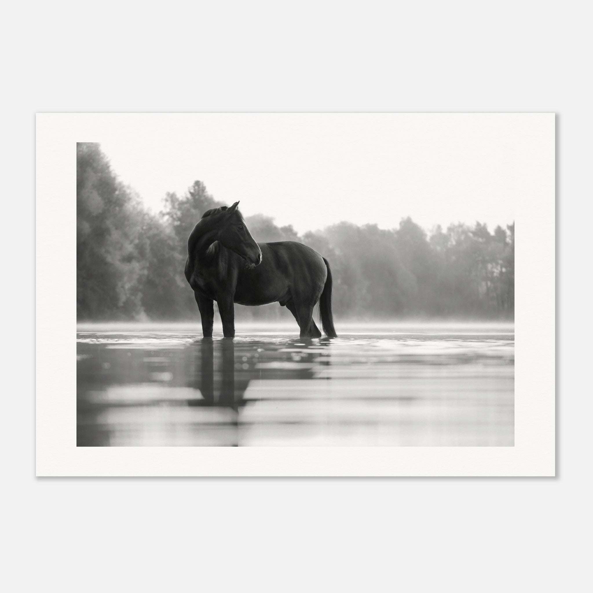 a874a2c8-7b59-451b-bca7-28de4a252bae