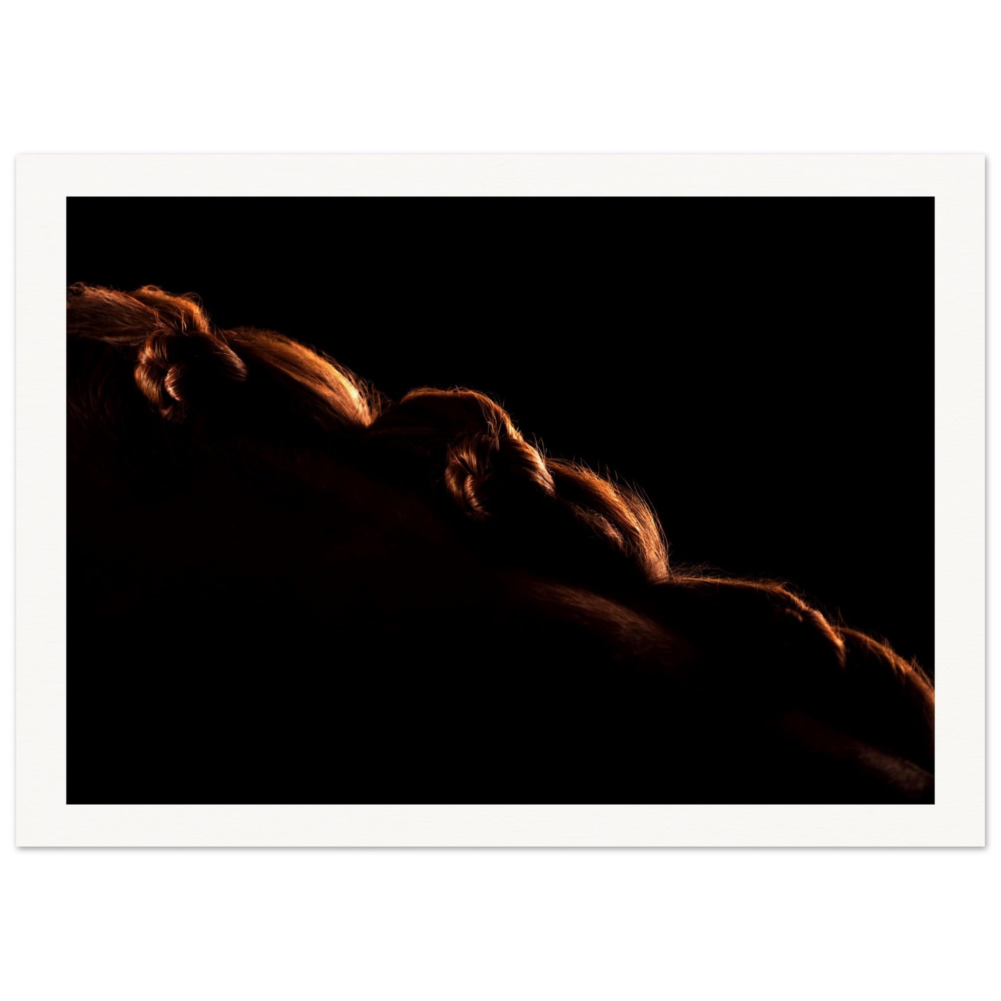 a8a94aad-6507-4899-a76a-41856c629dd0