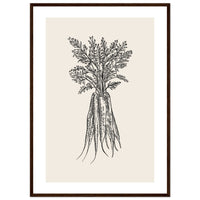 a8f1e79b-c64a-4e29-981f-1a1007705233