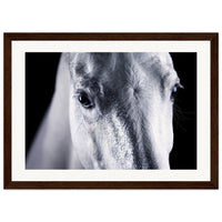 a9479c24-f244-49b5-aec2-74ccd07b1829