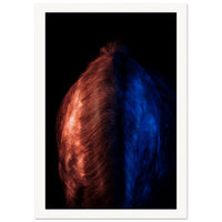 a95fd98c-0029-44a9-b50f-201099cb55ab