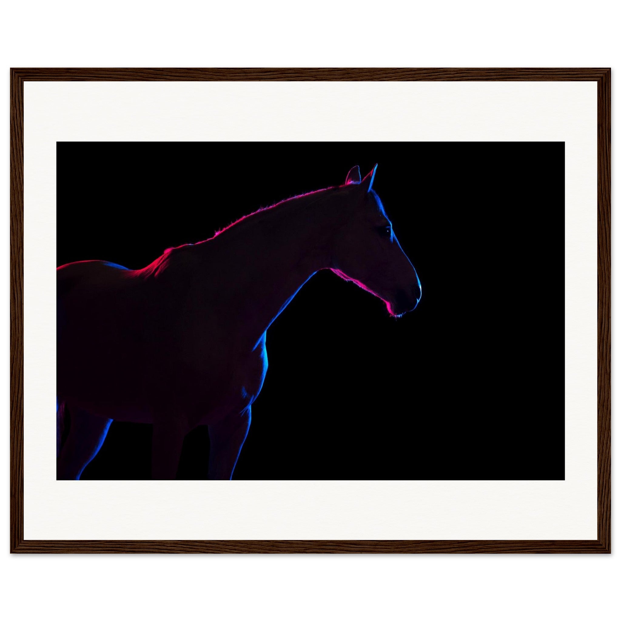 a9a70409-96bd-4e4d-bc88-196a23088e40