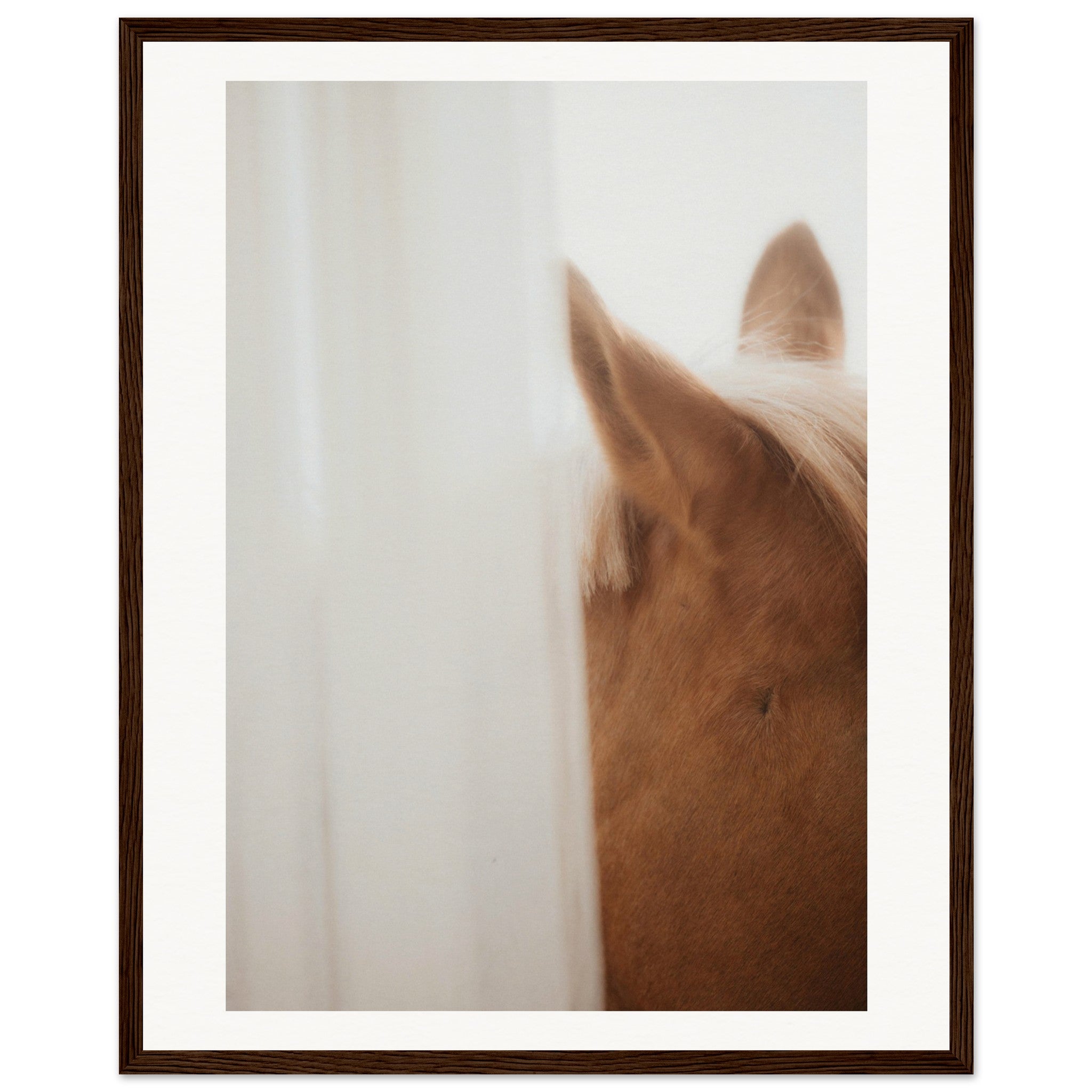 a9cea17b-a1ea-4307-a2ff-5d637cdcbddc