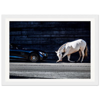 a9d80334-83e6-4d92-a8b7-b2917f198872