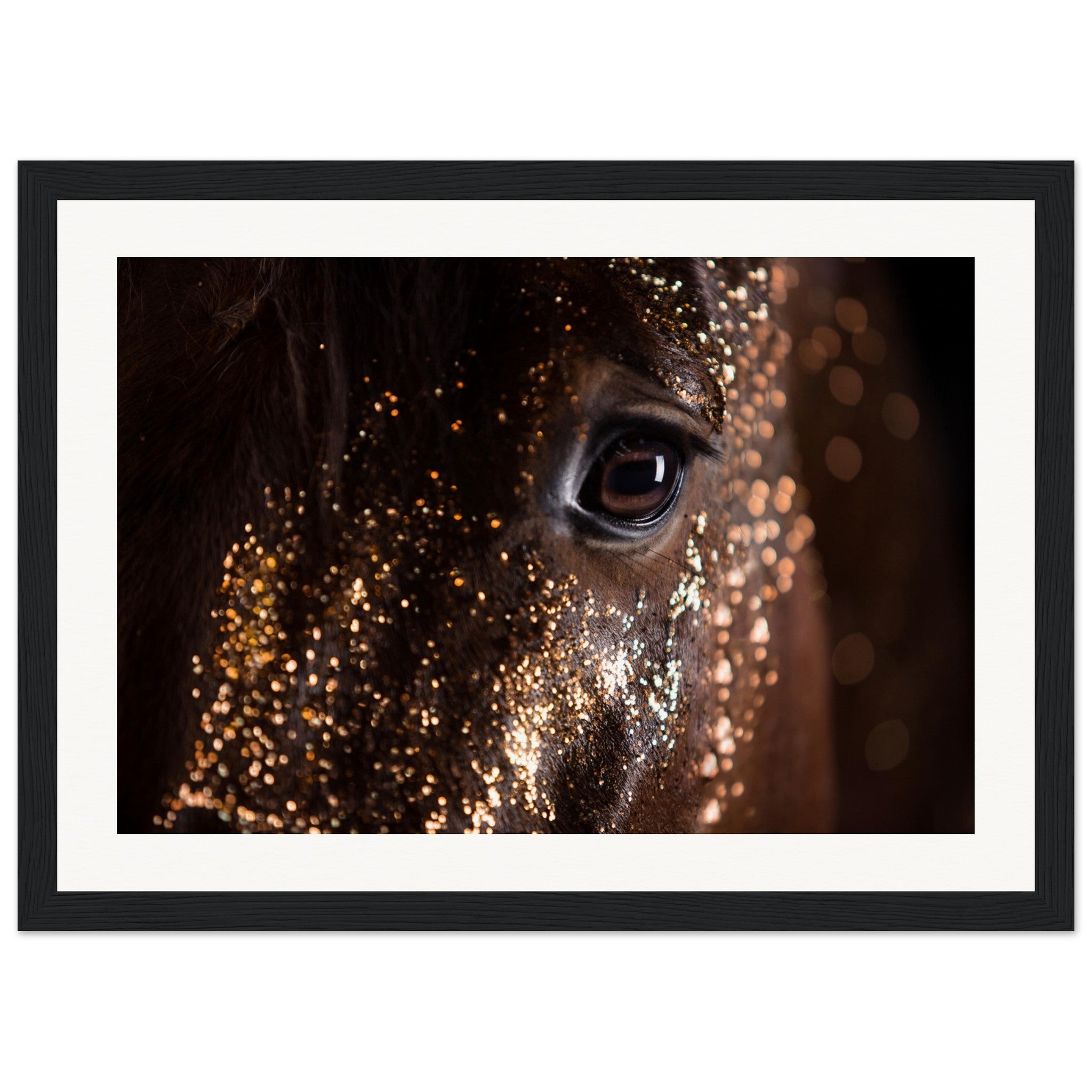 a9ff9c55-6f13-4002-a3d4-8cebf88b6300