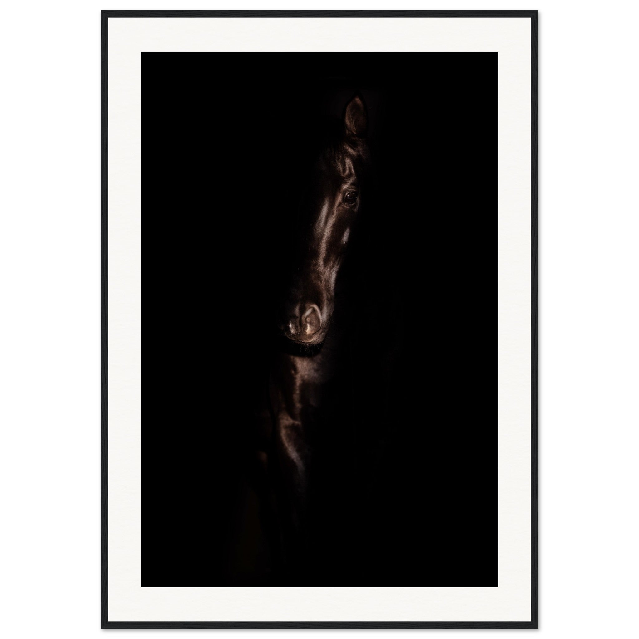 aa162433-ef1e-4f86-b1c1-ec8a75a81a4e