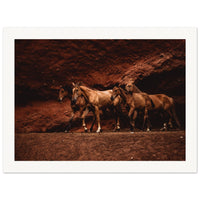 aa322972-7ecc-47c4-8aad-c5c30c193ee8