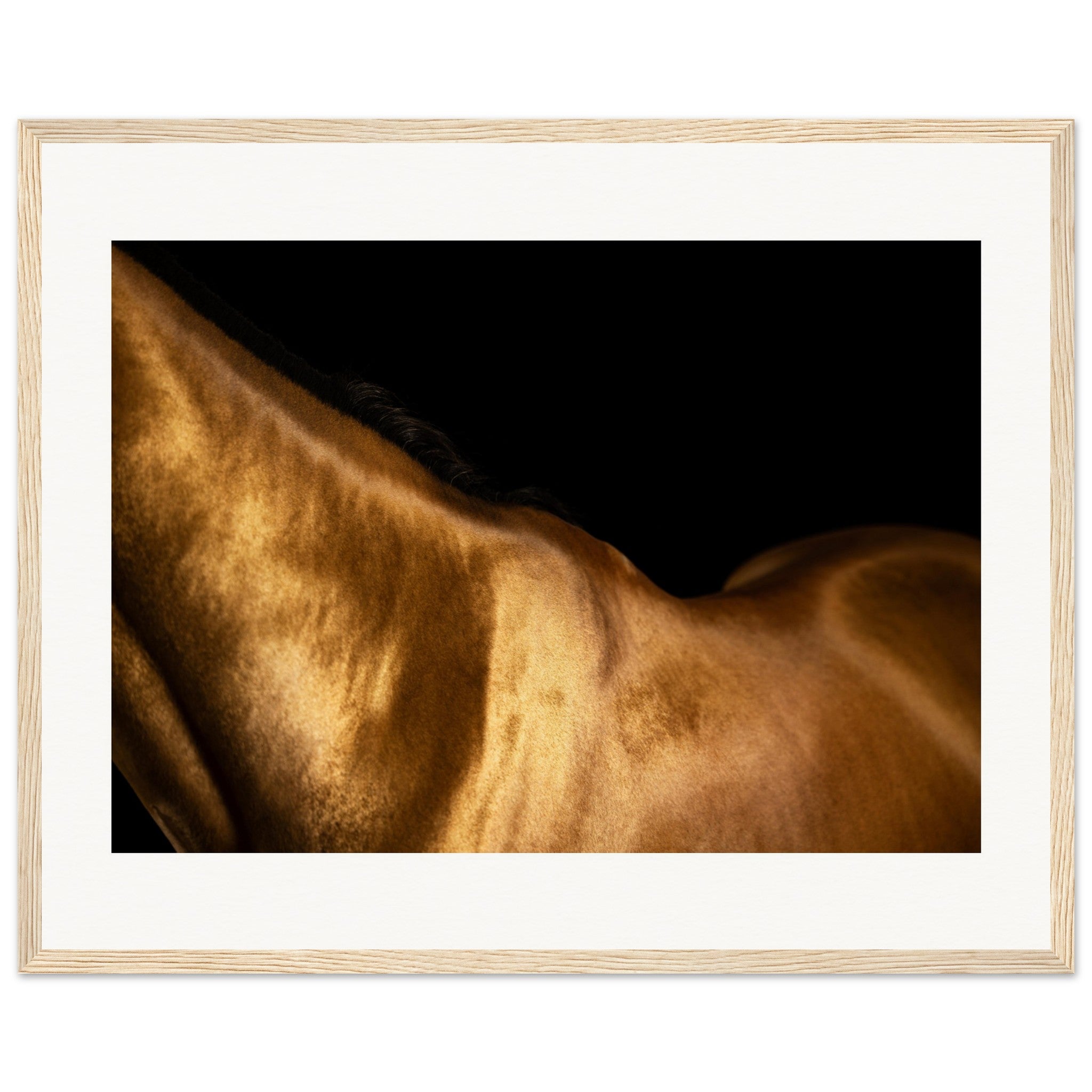 aaa016da-ceaf-49d0-84e7-ebcc69e4621a