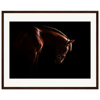 aad45301-8c7a-4d35-9611-99f307768189