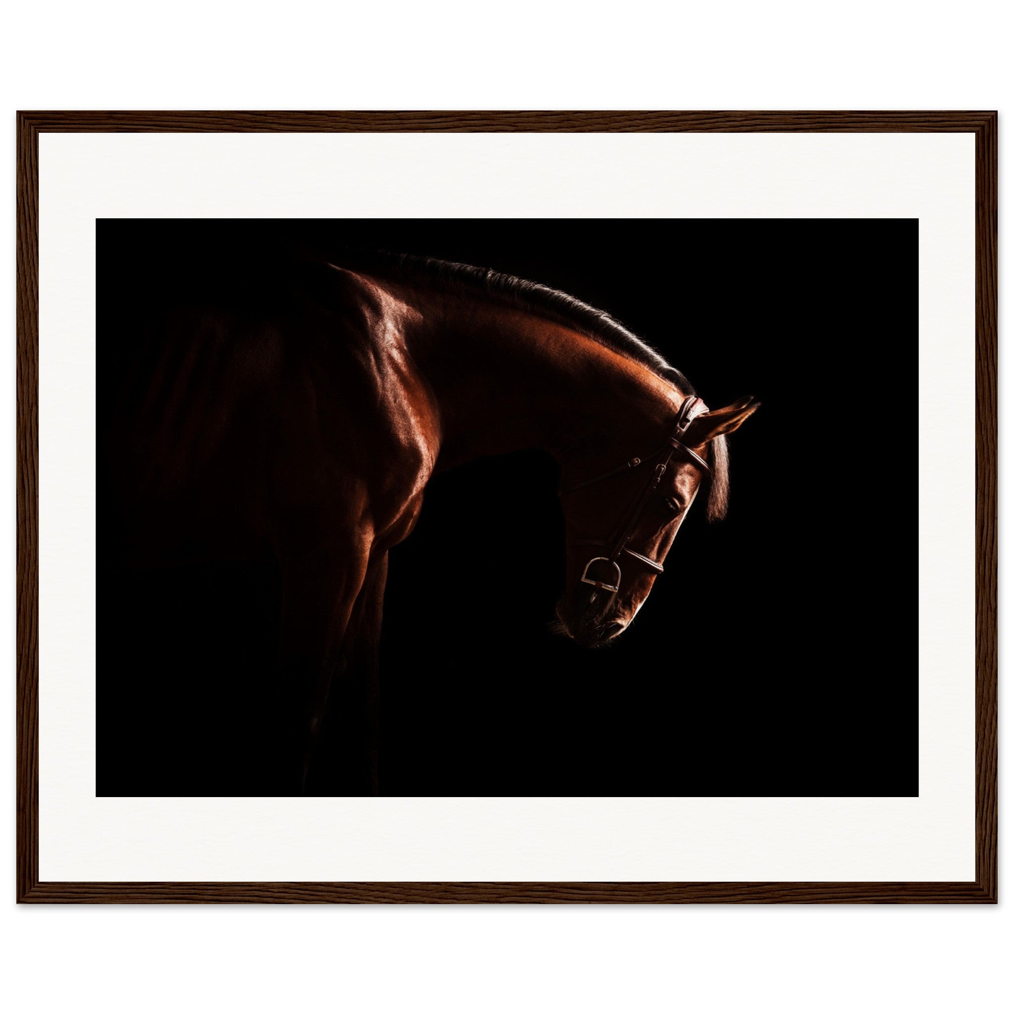 aad45301-8c7a-4d35-9611-99f307768189