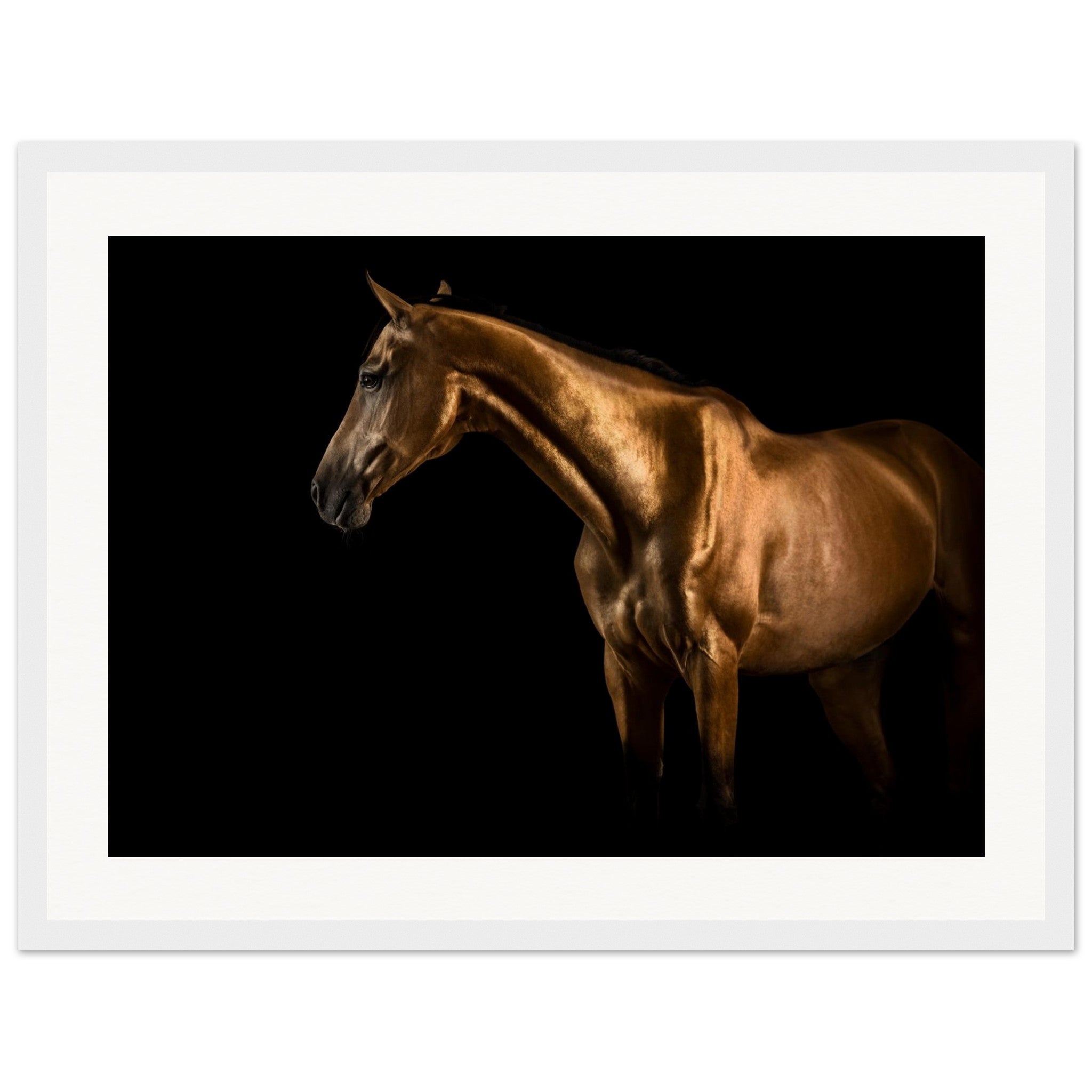 aae2b845-d49c-474d-8ab3-c7c043776f08