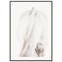 ab156d42-b18d-420d-97a3-6fbbebd2b8f2