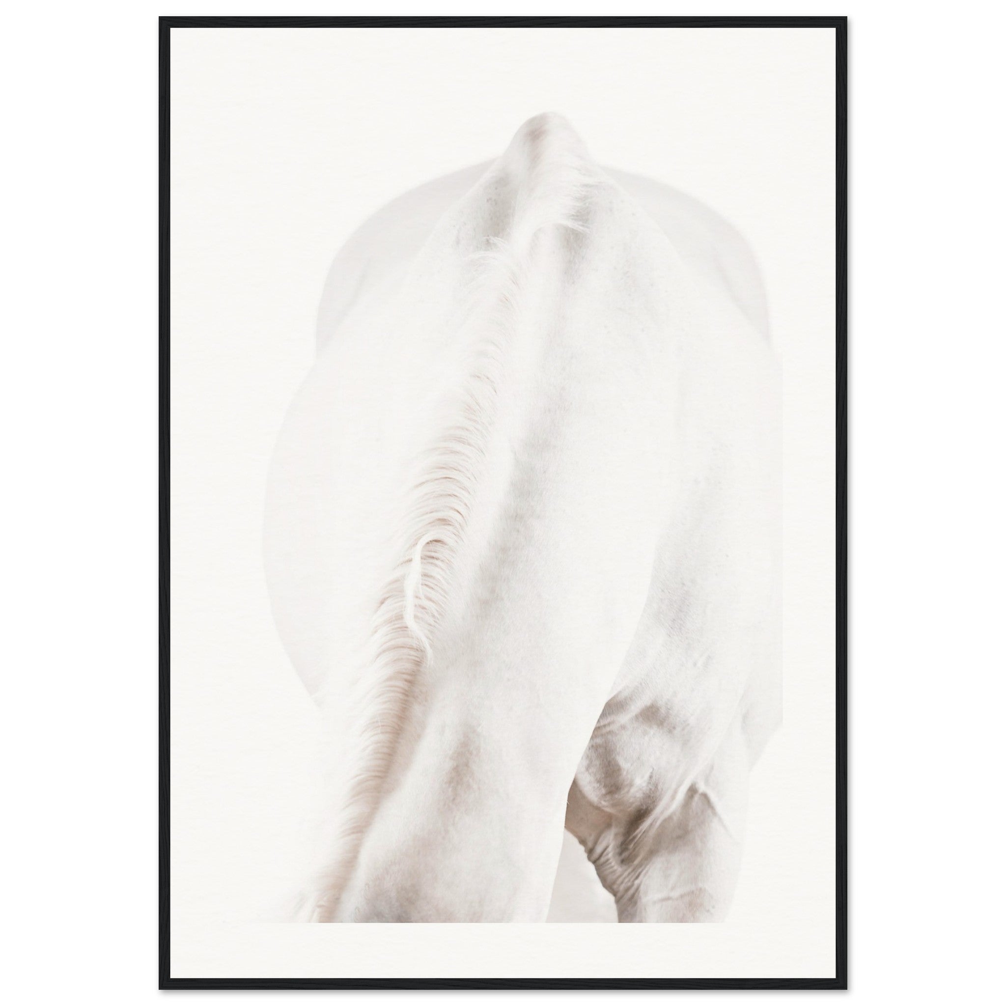 ab156d42-b18d-420d-97a3-6fbbebd2b8f2