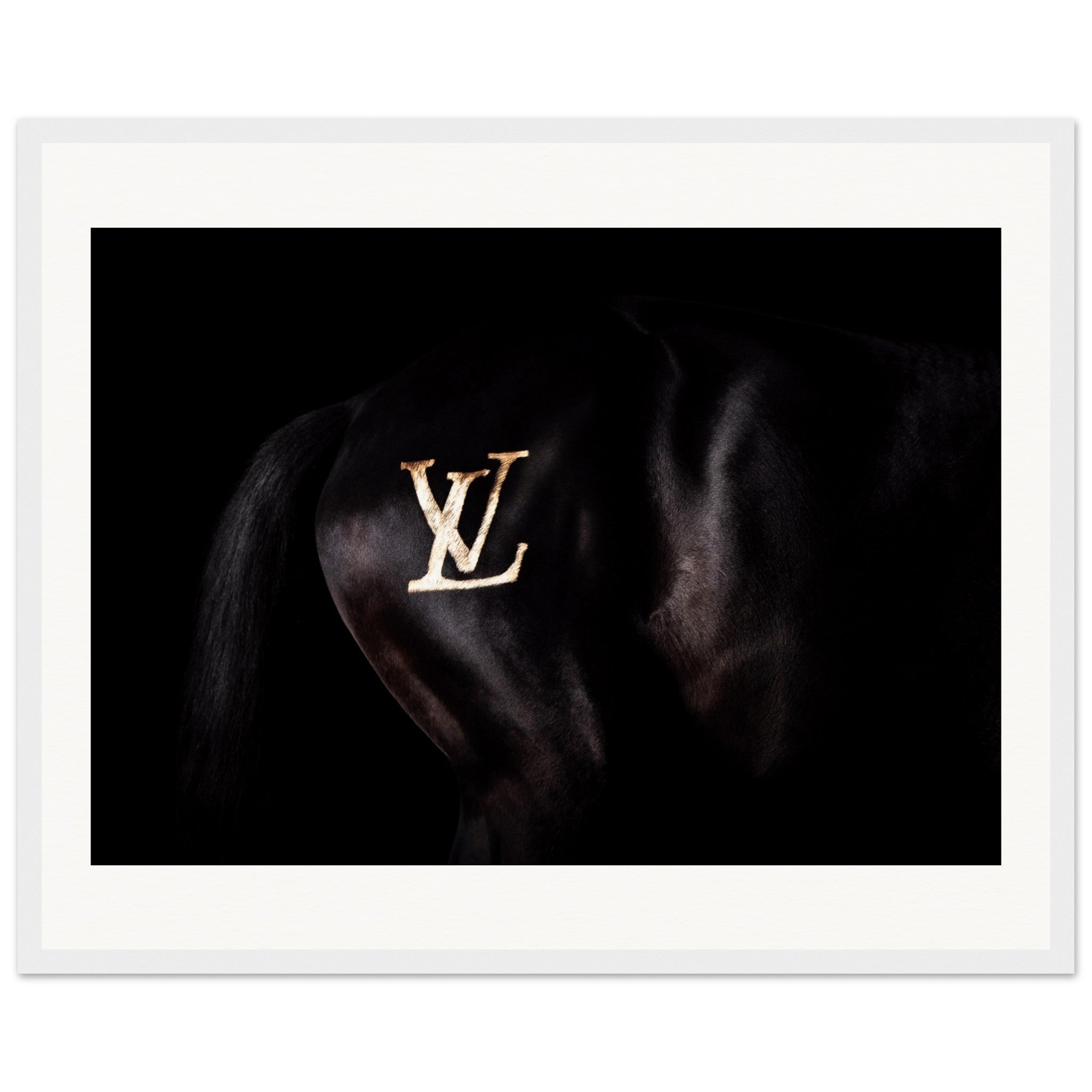 ab39b3ef-a4e3-4560-81fb-6a5bf4023c88