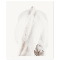 ab527b0c-8833-4db6-b732-f9be7fe6348c