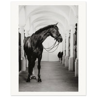 ab54f10d-2bac-434e-a298-6157441c6062