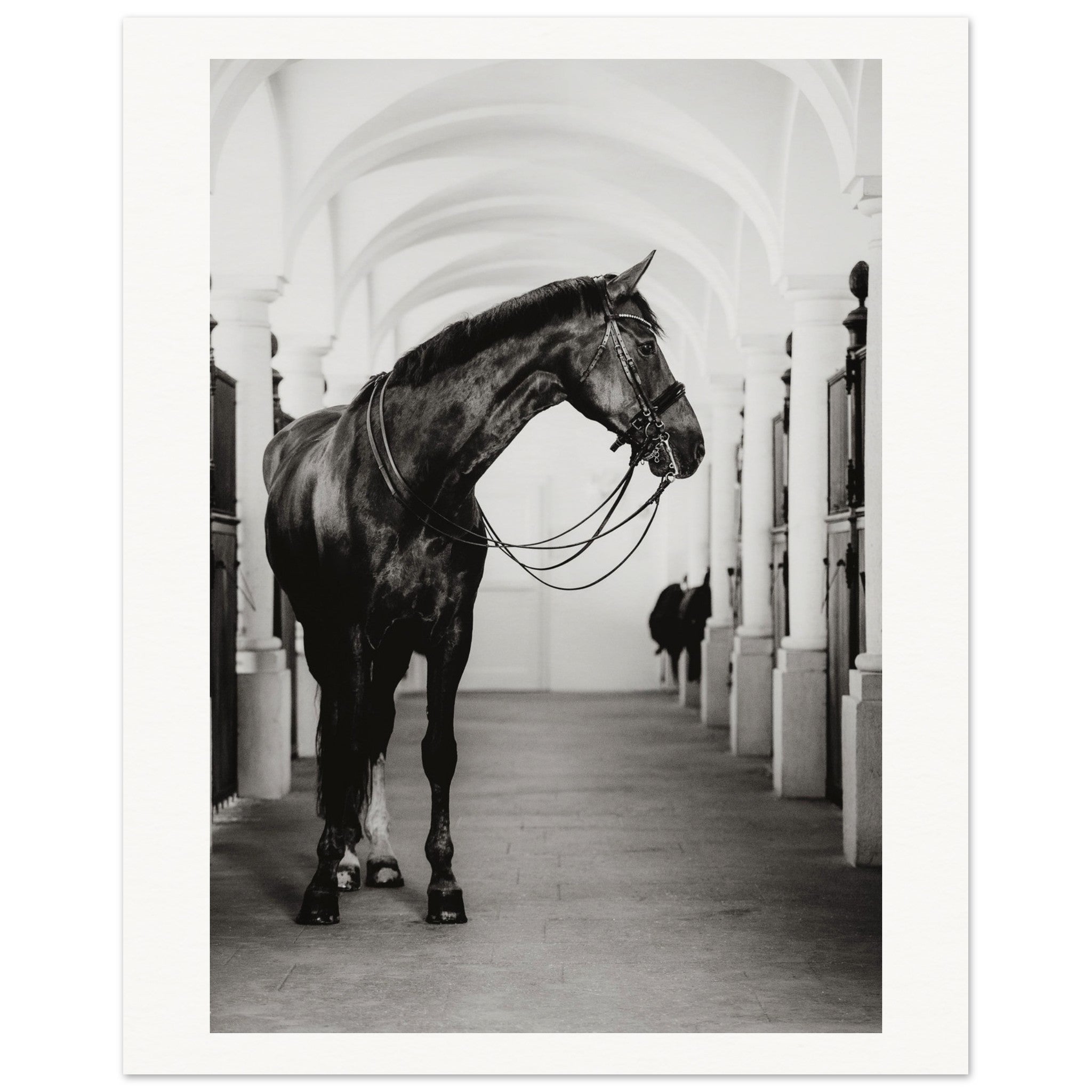 ab54f10d-2bac-434e-a298-6157441c6062