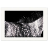 ab58a519-a79e-4a3f-b45e-43f16309b74d