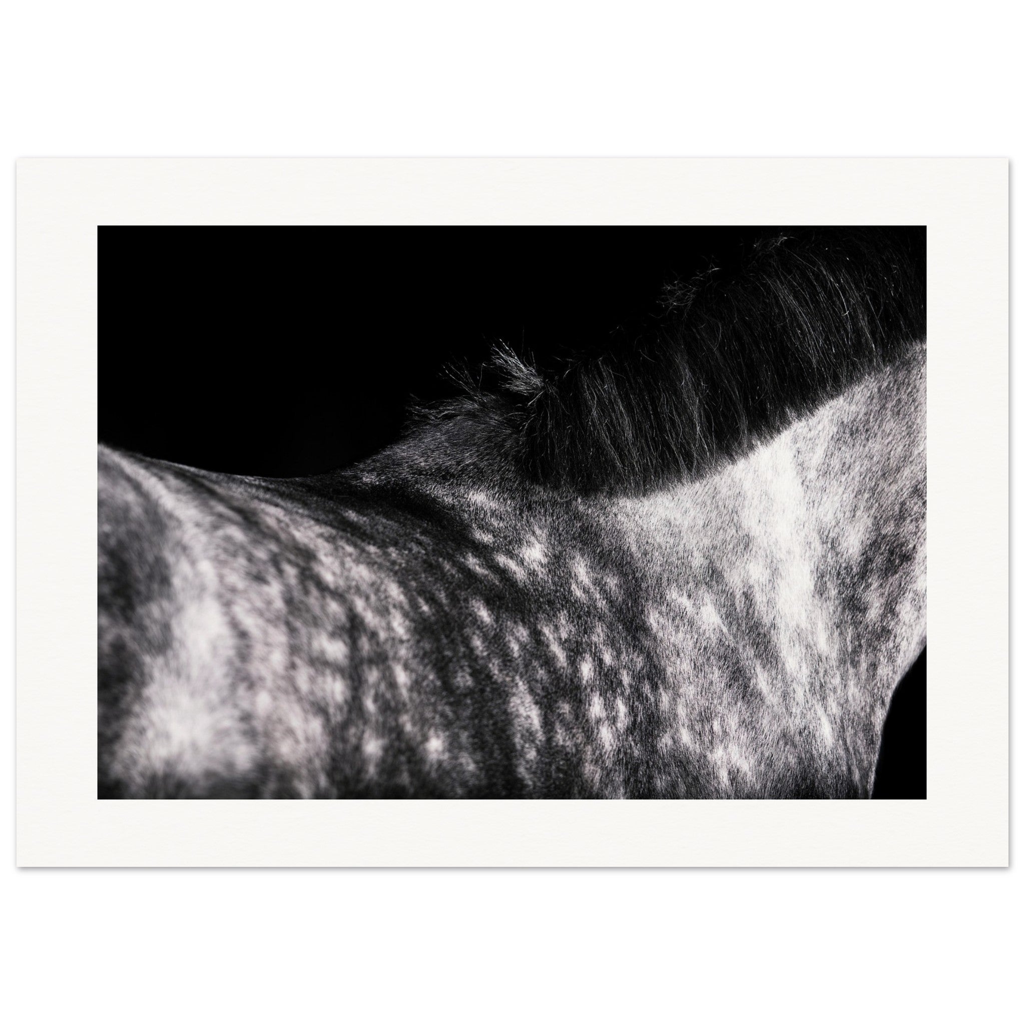 ab58a519-a79e-4a3f-b45e-43f16309b74d